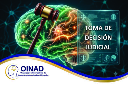 TOMA DE DECISIÓN JUDICIAL